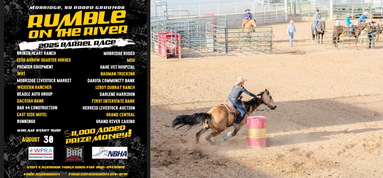 banner advertisment